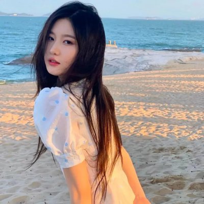女王蜂游戏
